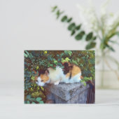 Postkarte (Stehend Vorderseite)