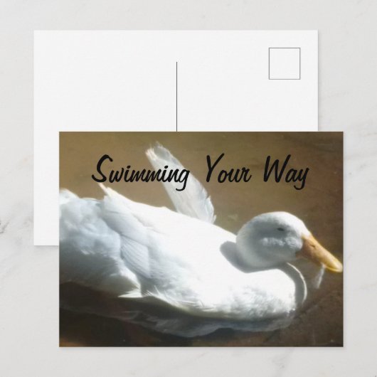 Postkarte (Vorne/Hinten)