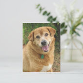  POSTKARTE (Stehend Vorderseite)