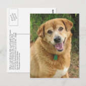  POSTKARTE (Vorne/Hinten)