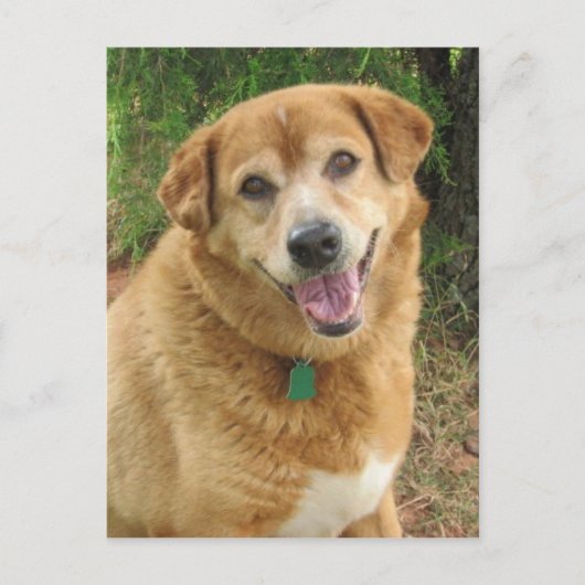  POSTKARTE (Vorderseite)