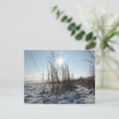Postkarte (Stehend Vorderseite)