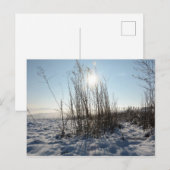 Postkarte (Vorne/Hinten)