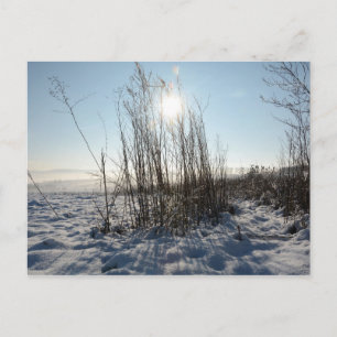 Postkarte