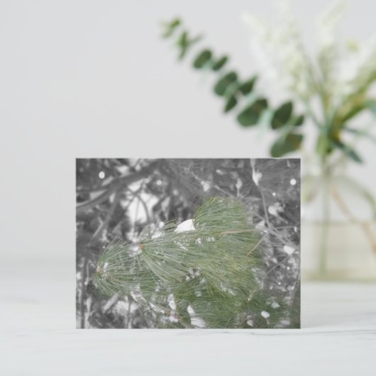 Postkarte (Stehend Vorderseite)