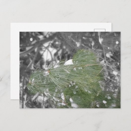 Postkarte (Vorne/Hinten)