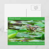 Postkarte (Vorne/Hinten)