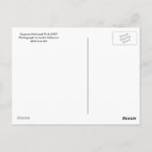 Postkarte (Rückseite)