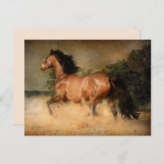 Postkarte (Vorne/Hinten)