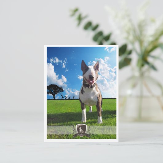 Postkarte (Stehend Vorderseite)