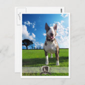 Postkarte (Vorne/Hinten)