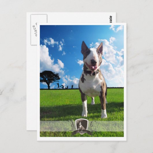 Postkarte (Vorne/Hinten)