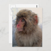 Postkarte (Vorne/Hinten)