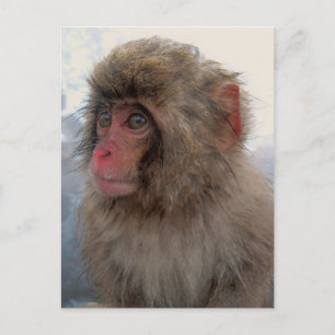 Postkarte