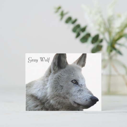 Postkarte (Stehend Vorderseite)