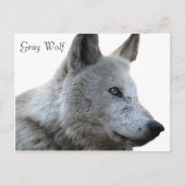 Postkarte (Vorderseite)