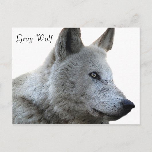 Postkarte (Vorderseite)