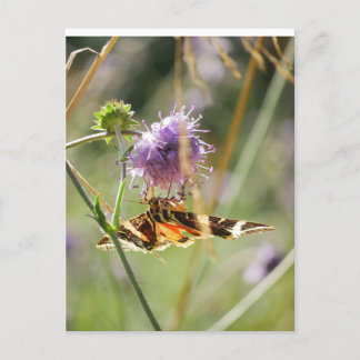 Postkarte