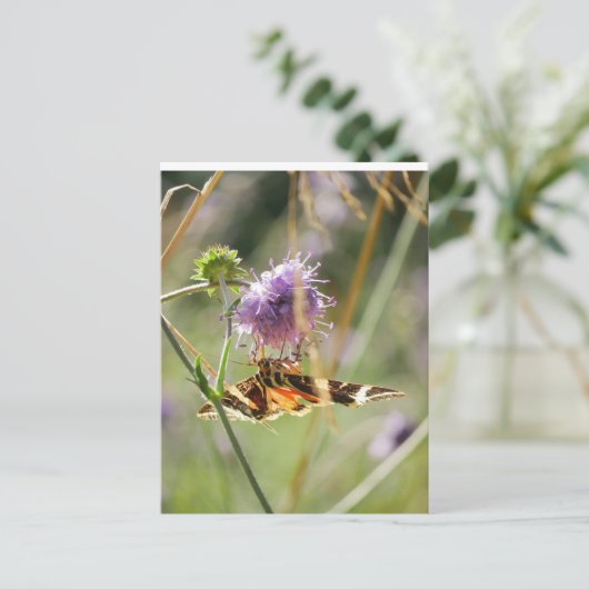 Postkarte (Stehend Vorderseite)