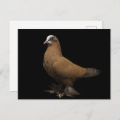 Postkarte (Vorne/Hinten)