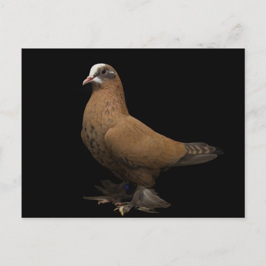 Postkarte (Vorderseite)