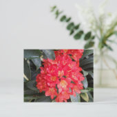 Postkarte (Stehend Vorderseite)