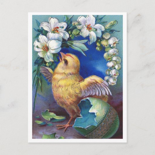 Postkarte (Vorderseite)