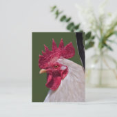 Postkarte (Stehend Vorderseite)