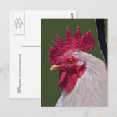 Postkarte (Vorne/Hinten)