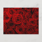 Postkarte (Vorderseite)