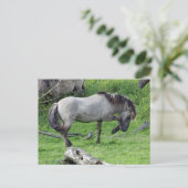 Postkarte (Stehend Vorderseite)