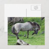Postkarte (Vorne/Hinten)
