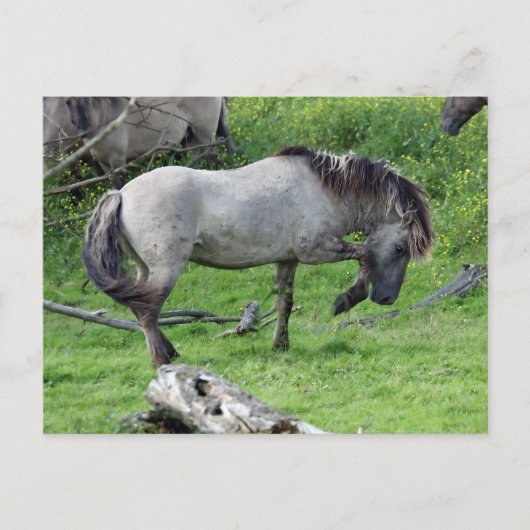 Postkarte (Vorderseite)