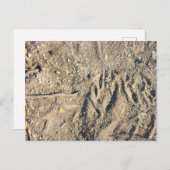 Postkarte (Vorne/Hinten)