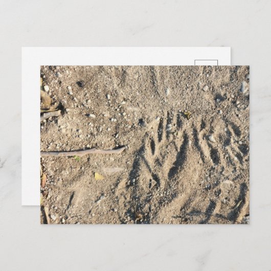 Postkarte (Vorne/Hinten)