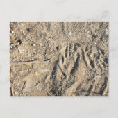 Postkarte (Vorderseite)