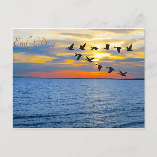 Postkarte (Vorderseite)