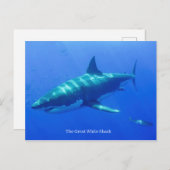 Postkarte (Vorne/Hinten)