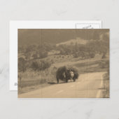 Postkarte (Vorne/Hinten)