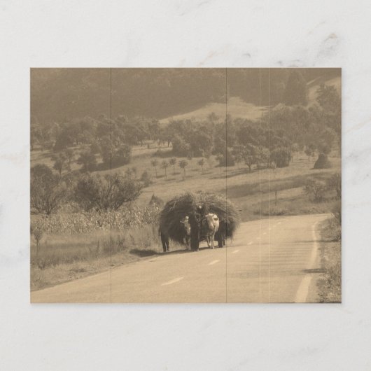 Postkarte (Vorderseite)