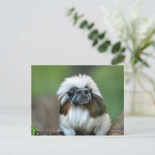 Postkarte (Stehend Vorderseite)