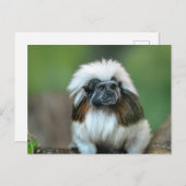 Postkarte (Vorne/Hinten)