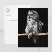 Postkarte (Vorne/Hinten)