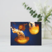 Postkarte (Stehend Vorderseite)