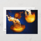 Postkarte (Vorne/Hinten)