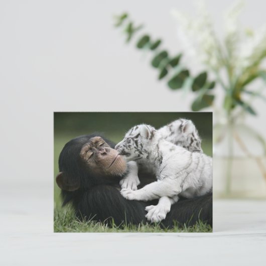 Postkarte (Stehend Vorderseite)