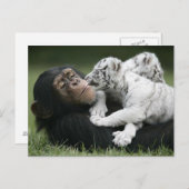 Postkarte (Vorne/Hinten)