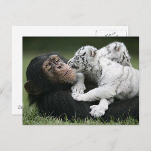 Postkarte (Vorne/Hinten)