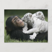 Postkarte (Vorderseite)