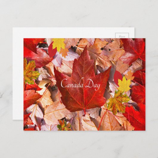 Postkarte (Vorne/Hinten)